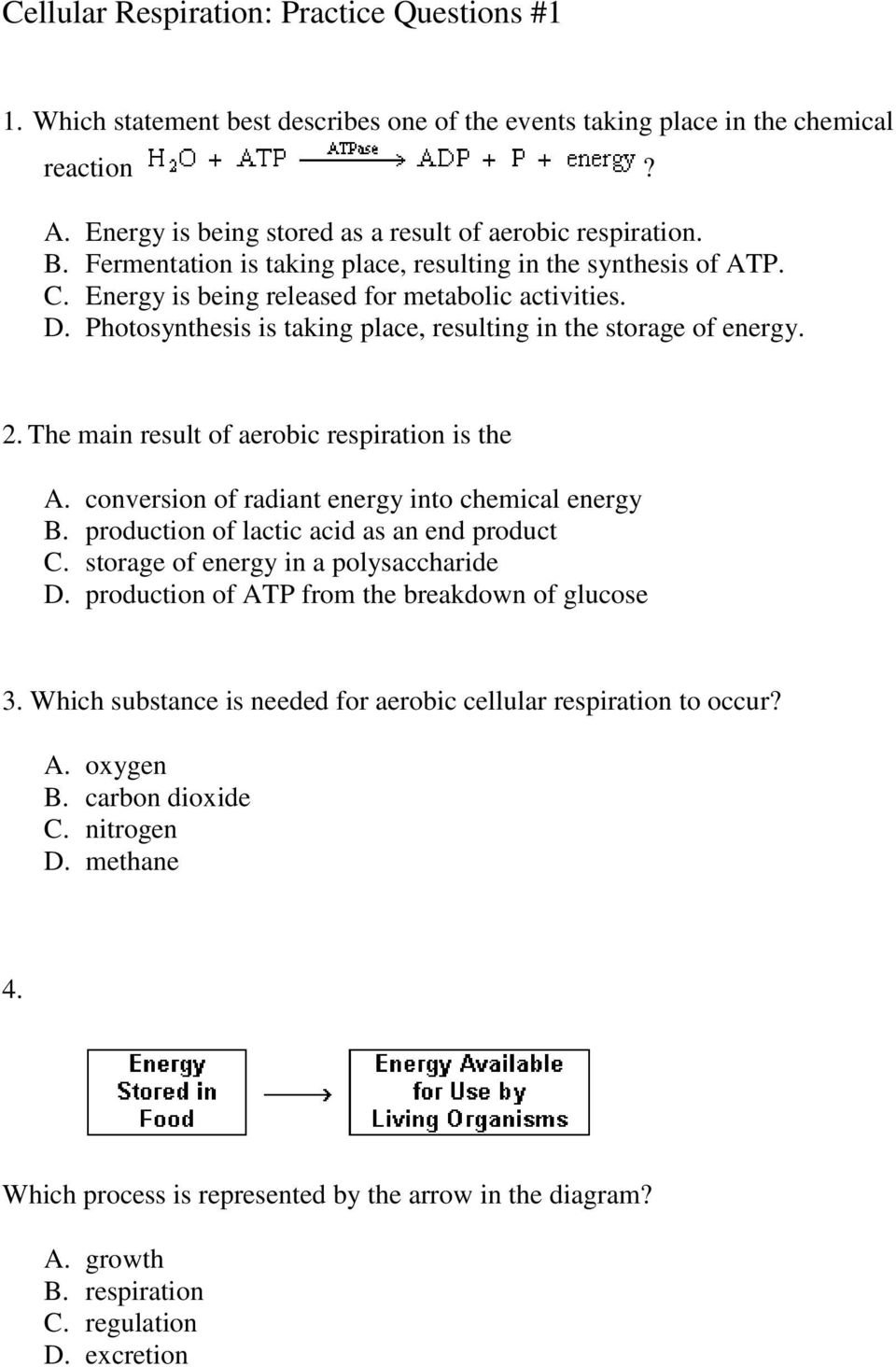Cellular Respiration Practice Questions 1  Pdf Along With Cellular Respiration Worksheet Pdf