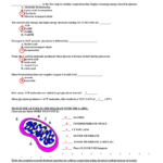 Cellular Respiration Practice Worksheet 2 Key For Cellular Respiration Review Worksheet Answer Key