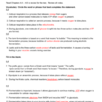 Cellular Respiration Review Along With Cellular Respiration Breaking Down Energy Worksheet Answers