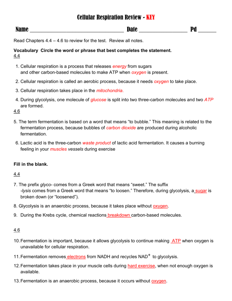 Cellular Respiration Review Within Anaerobic Pathways For Atp Production Worksheet