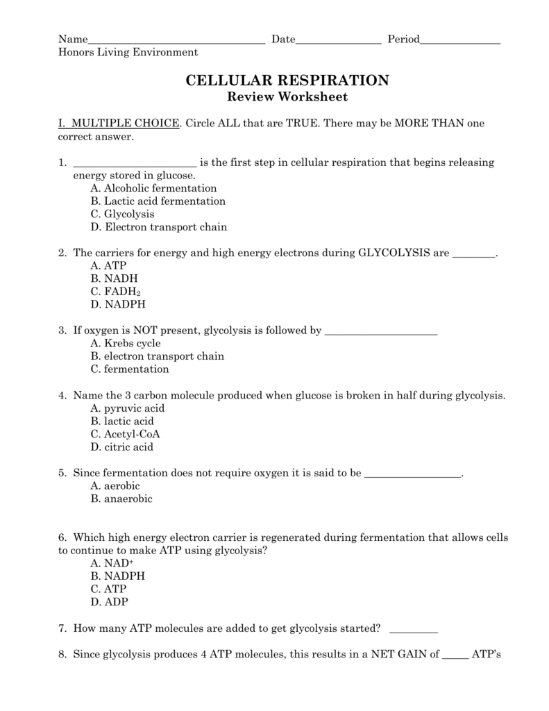 Cellular Respiration Review Worksheet Also Cellular Respiration Worksheet Answers