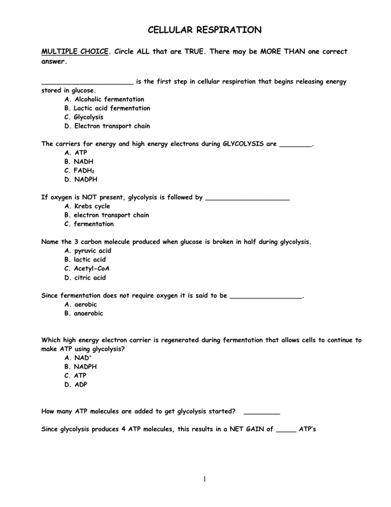 Cellular Respiration Worksheet Honors Together With Anaerobic Pathways For Atp Production Worksheet