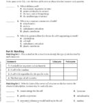 Cellular Structure And Function  Pdf And Cell Structure And Function Worksheet Answers Chapter 3