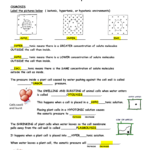 Cellular Transport Review Throughout Cell Transport Review Worksheet Answers