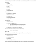 Ch 10 Test Topics Dna Rna Protein Synthesis  Mutations For Dna Rna And Protein Synthesis Worksheet Answer Key