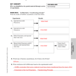 Ch 8 Workbook Answer Key Intended For Dna Mutations Practice Worksheet Conclusion Answers