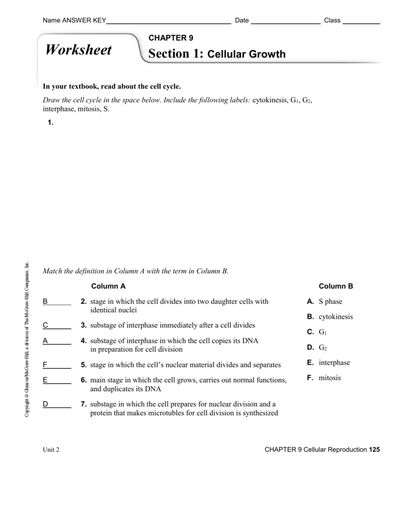 Ch 9 Worksheet Answer Key For Cell Reproduction Worksheet Answers