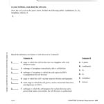 Ch 9 Worksheet Answer Key Or Cell Cycle And Cancer Worksheet Answers