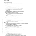 Ch2 Lesson2 Lesson Outline With Answers For Lesson 7 2 Cell Structure Worksheet Answers