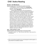 Ch81 Active Reading Section Cell Membrane And Skills Worksheet Active Reading Answer Key
