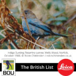 Changes To The British List (21 Dec 2018)   British Ornithologists ... With Regard To British Bird List Spreadsheet