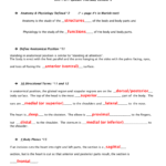 Chapter 1 Introduction To Human Anatomy And Physiology Worksheet Along With Anatomy And Physiology Worksheets