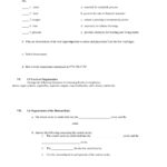 Chapter 1 Introduction To Human Anatomy And Physiology Worksheet Throughout Chapter 1 Introduction To Human Anatomy And Physiology Worksheet Answers