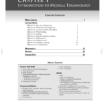 Chapter 1  Mrs Aymami's Class And Medical Terminology Prefixes Worksheet