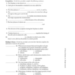 Chapter 10 Cell Growth And Division Chapter Vocabulary Review Regarding Chapter 10 Cell Growth And Division Worksheet Answer Key