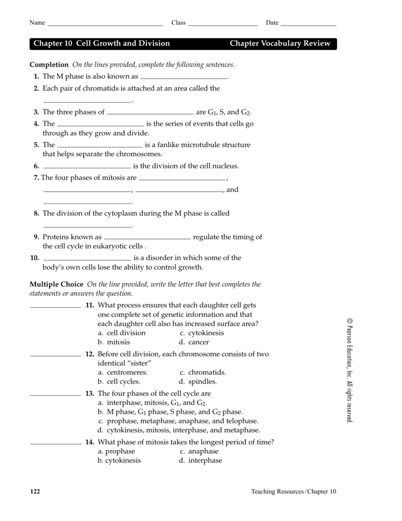 Chapter 10 Cell Growth And Division Chapter Vocabulary Review With Cell Cycle Vocabulary Worksheet Answer Key
