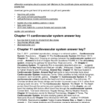Chapter 11 Cardiovascular System Answer Key Or Circulatory System Study Questions Worksheet