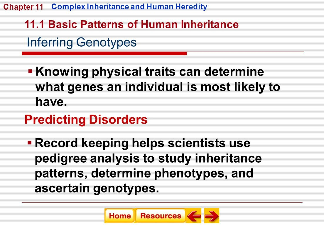 Chapter 11 Complex Inheritance And  Ppt Download For Chapter 11 Complex Inheritance And Human Heredity Worksheet Answers