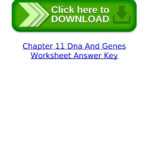 Chapter 11 Dna And Genes Worksheet Answer Keyjetsnasoto  Issuu Pertaining To Chapter 11 Dna And Genes Worksheet Answers