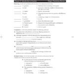 Chapter 11 Introduction To Genetics Chapter Vocabulary Review Along With Chapter 11 Introduction To Genetics Worksheet Answers