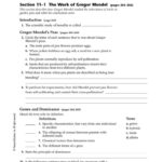 Chapter 11 Introduction To Genetics Worksheet Answers Together With Introduction To Genetics Worksheet