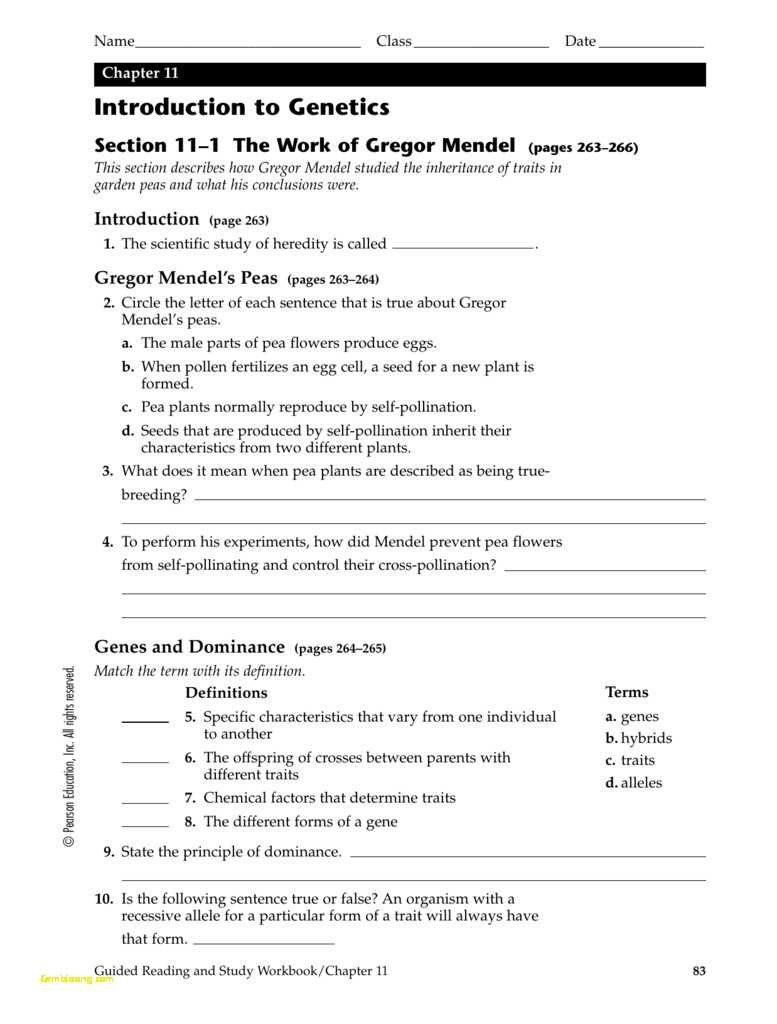 Chapter 11 Introduction To Genetics Worksheet Answers Together With Introduction To Genetics Worksheet