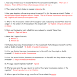 Chapter 114 Yet Another Study Guide Key For Meiosis 1 And Meiosis 2 Worksheet Answer Key