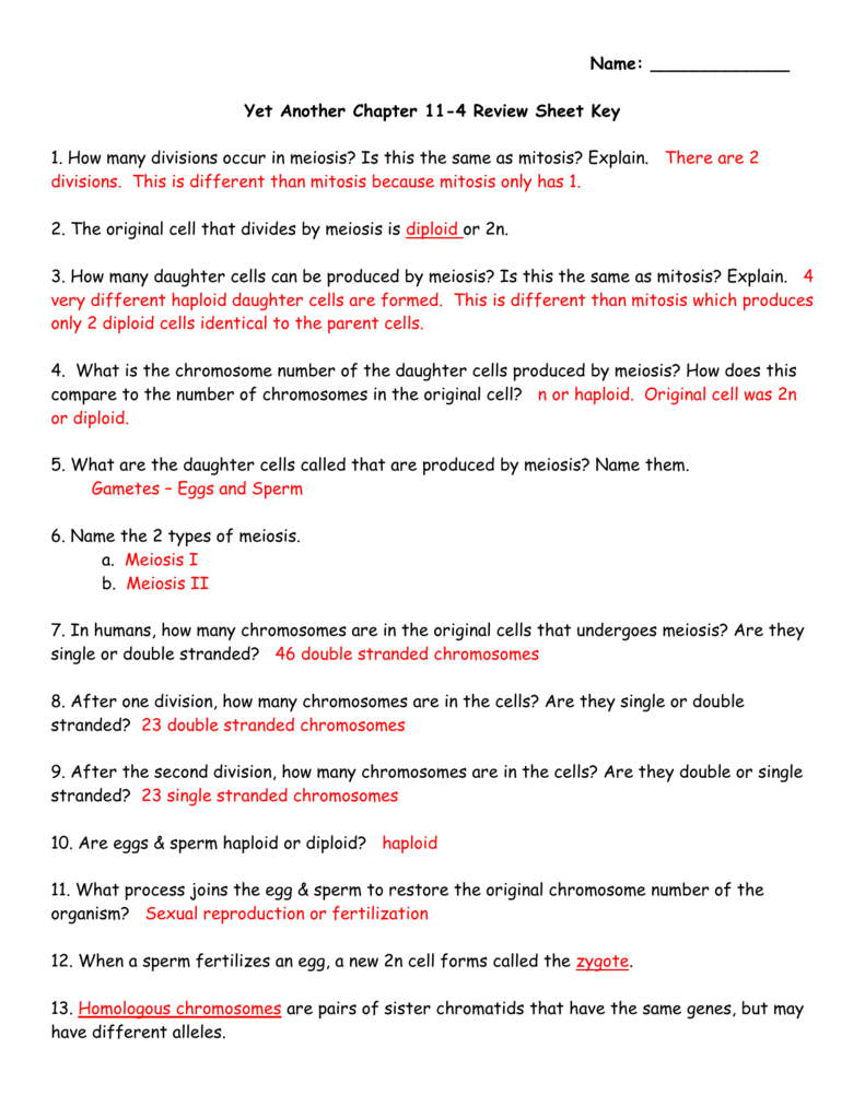 Chapter 114 Yet Another Study Guide Key For Meiosis 1 And Meiosis 2 Worksheet Answer Key