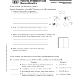 Chapter 12 Study Guide Regarding Chapter 11 Complex Inheritance And Human Heredity Worksheet Answers