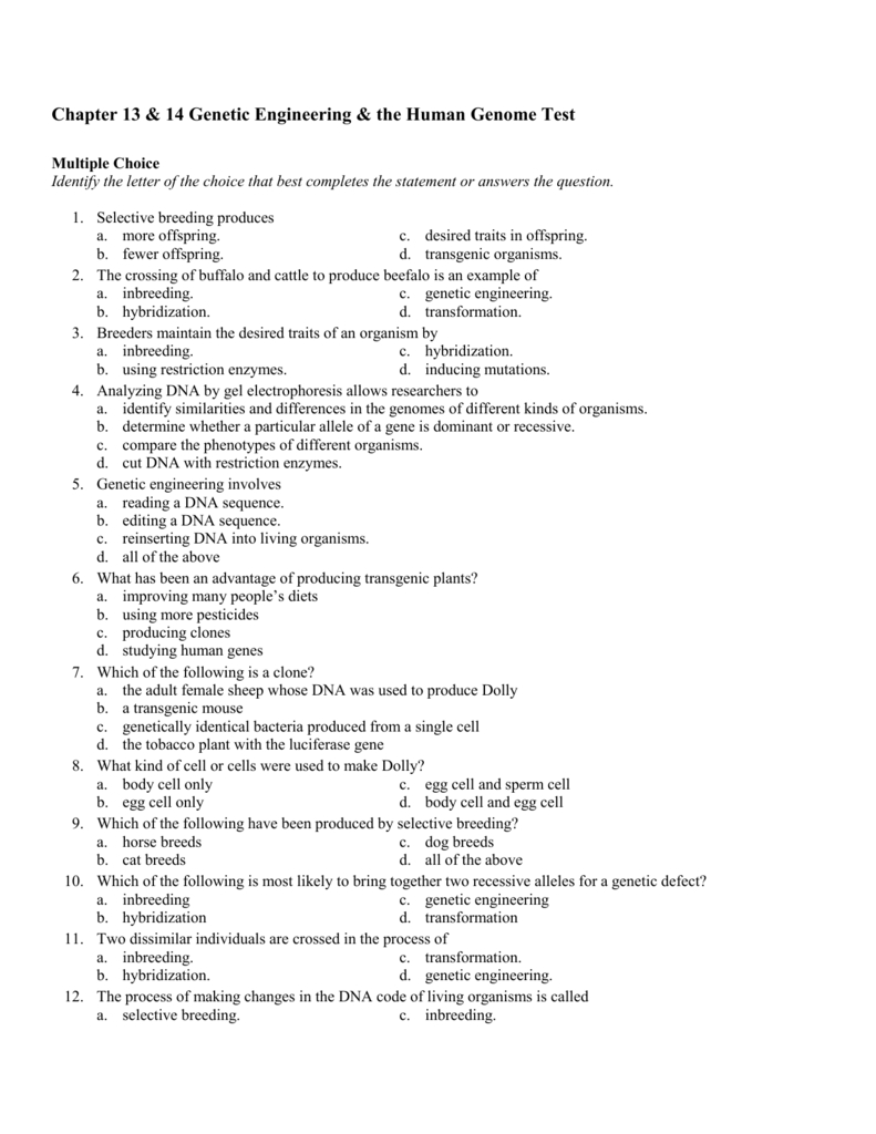 Chapter 13  14 Genetic Engineering  The Human Genome Test Regarding Genetics And Biotechnology Chapter 13 Worksheet Answers