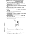 Chapter 13 Genetic Engineering Chapter Vocabulary Review Or Genetics And Biotechnology Chapter 13 Worksheet Answers