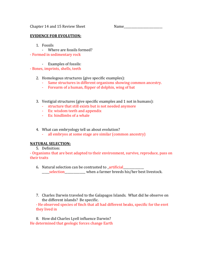 Chapter 14 And 15 Review Sheet Answers For Galapagos Island Finches Worksheet