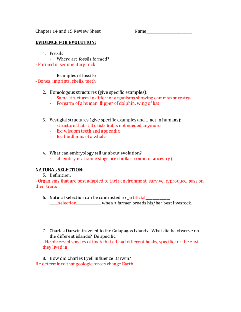 Galapagos Island Finches Worksheet Excelguider