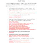 Chapter 16 Cardiovascular System For Circulatory System Study Questions Worksheet