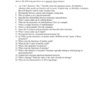 Chapter 2—Chemistry Of Life Review Worksheet And Chemistry Of Life Worksheet
