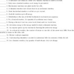 Chapter 2 The Chemistry Of Life Worksheets  Pdf Pertaining To Biology Chapter 2 The Chemistry Of Life Worksheet Answers