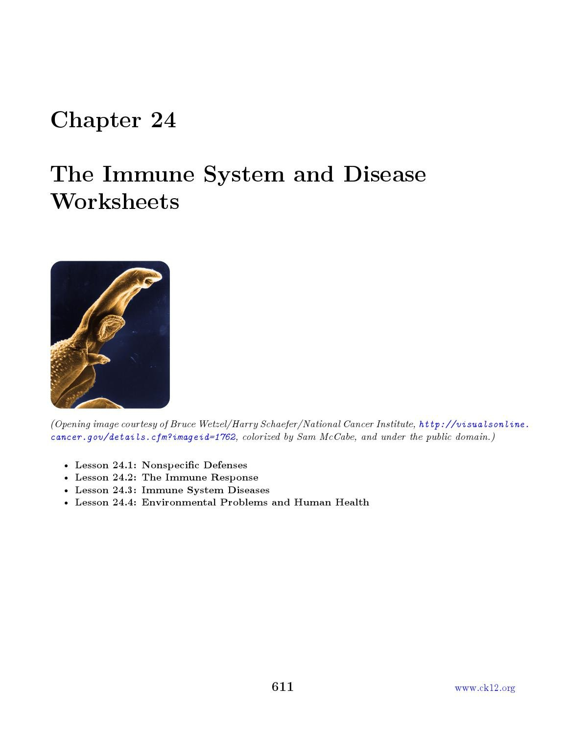 Chapter 24 Ck 12 Biology Chapter 24 Worksheetswatabec  Issuu For Chapter 24 The Immune System And Disease Worksheet Answer Key