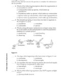 Chapter 3 The Biosphere Test A  Dibiasioscience For Chapter 6 Humans In The Biosphere Worksheet Answers