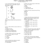 Chapter 4  Living Systems Human Systems For Cells Tissues Organs Organ Systems Worksheet