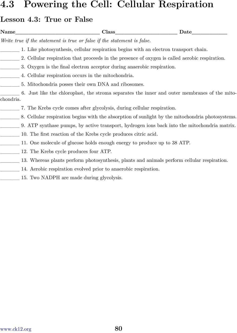 Chapter 4 Photosynthesis And Cellular Respiration Worksheets Pdf For Cellular Respiration Worksheet Pdf