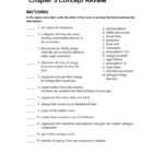 Chapter 5 Concept Review Along With Skills Worksheet Concept Review Answers