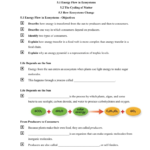 Chapter 5 – How Ecosystems Work 51 Energy Flow In Ecosystems As Well As Energy Flow In Ecosystems Worksheet
