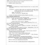 Chapter 5 Tissues As Well As Tissue Worksheet Anatomy Answer Key