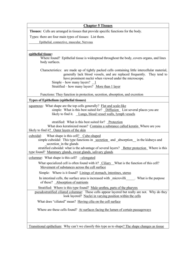 Chapter 5 Tissues Together With Epithelial Tissue Coloring Worksheet