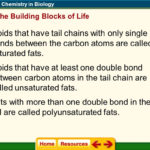 Chapter 6 Chemistry In Biology  Ppt Video Online Download Throughout Chemistry In Biology Chapter 6 Worksheet Answers