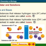 Chapter 6 Chemistry In Biology  Ppt Video Online Download With Chemistry In Biology Chapter 6 Worksheet Answers