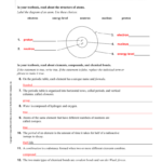 Chapter 6 Study Guide Key In Chapter 6 The Chemistry Of Life Worksheet Answer Key