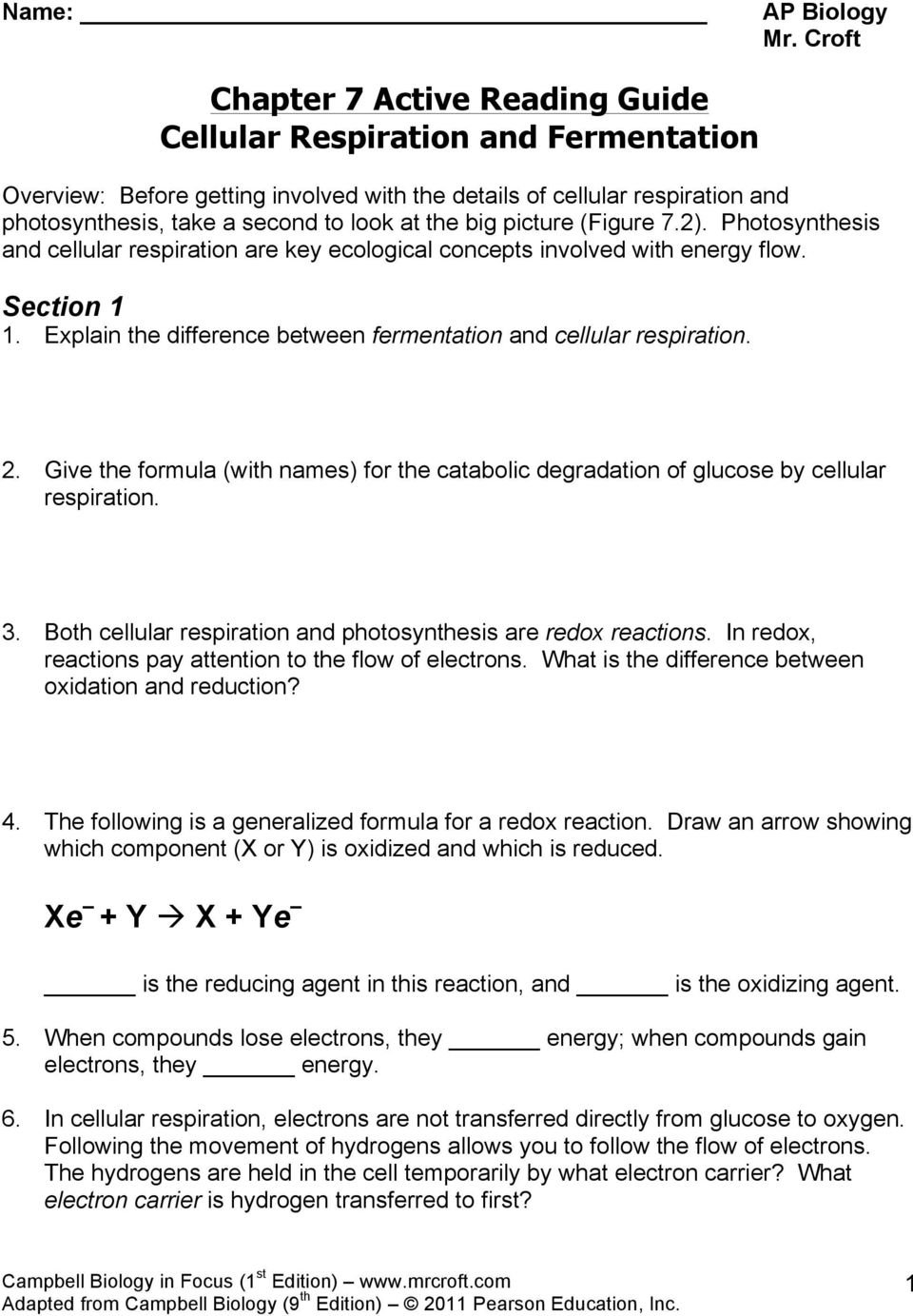 Chapter 7 Active Reading Guide Cellular Respiration And Fermentation With Cellular Respiration Overview Worksheet Chapter 7 Answer Key