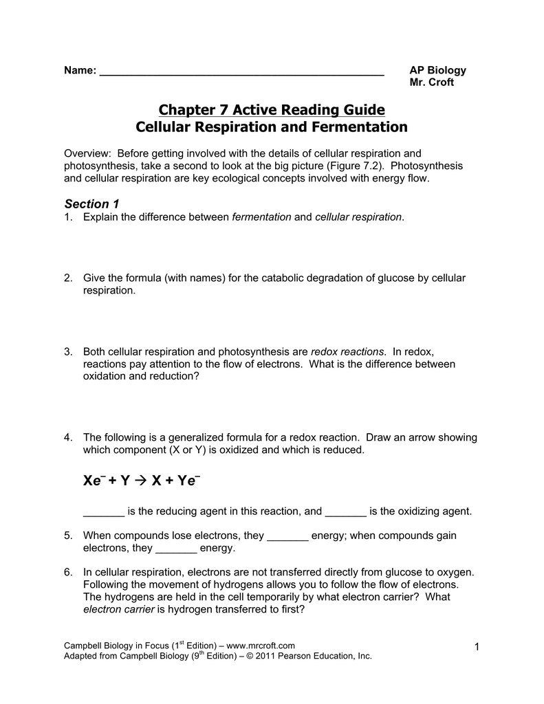 Chapter 7 Active Reading Guide Regarding Cellular Respiration Worksheet High School