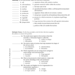 Chapter 7 Cell Structure And Function Chapter Vocabulary Review Also Chapter 7 Cell Structure And Function Worksheet Answers